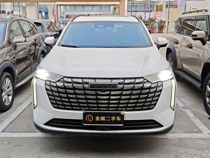 Haval H6 2024 2024款 2.0T 两驱Max