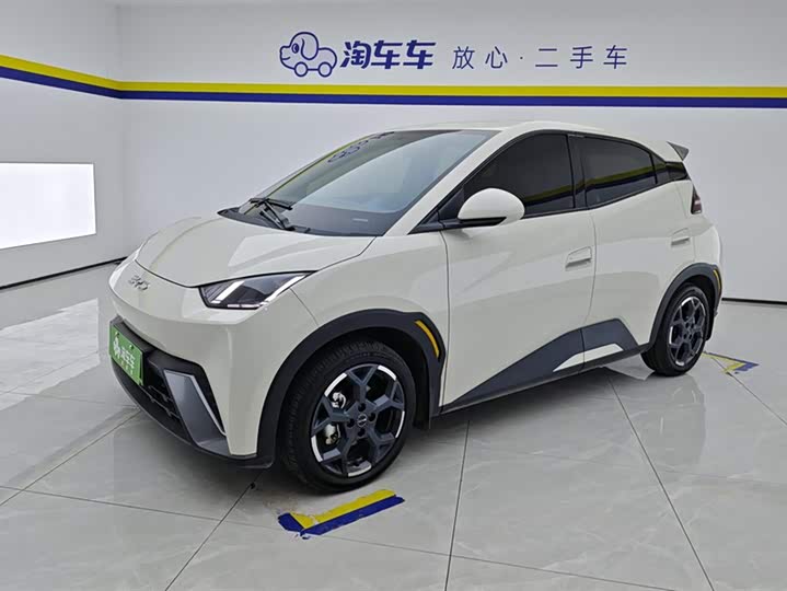 BYD Seagull 2025 2025款 305km 自由版