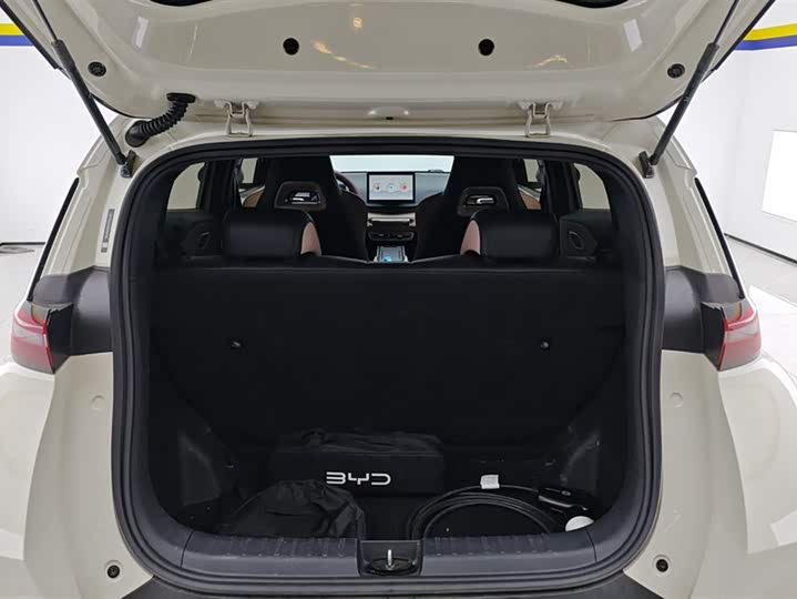 BYD Seagull 2025 2025款 305km 自由版