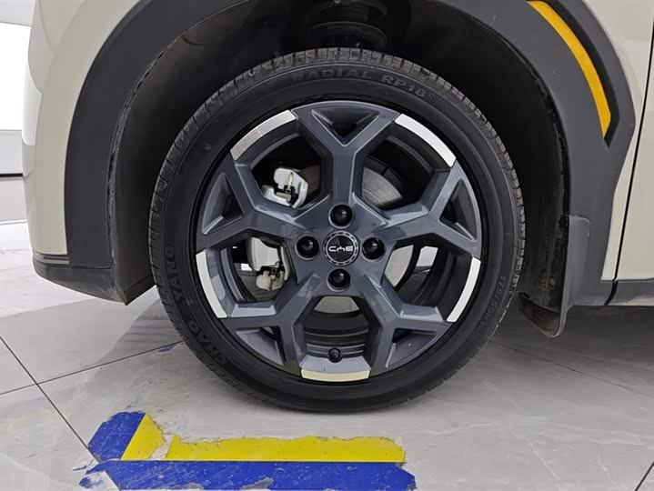 BYD Seagull 2025 2025款 305km 自由版