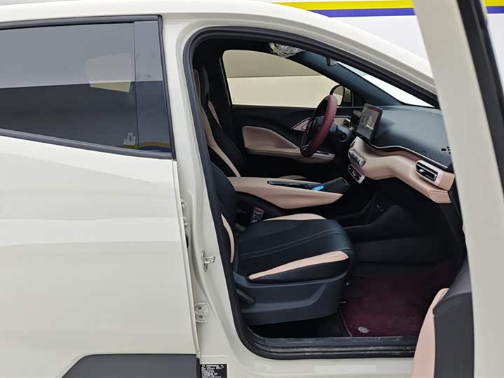 BYD Seagull 2025 2025款 305km 自由版