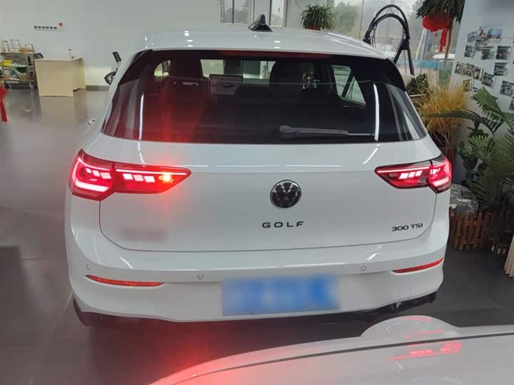 Volkswagen Golf 2025 2025款 300TSI R-Line