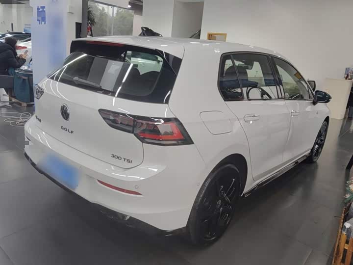 Volkswagen Golf 2025 2025款 300TSI R-Line