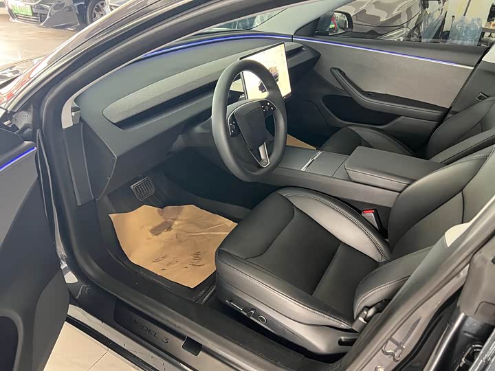 Tesla Model 3 2023 2023款 后轮驱动版