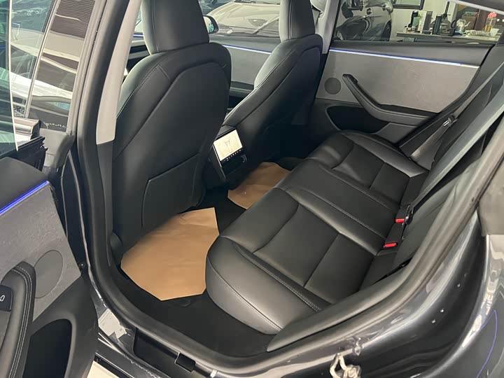 Tesla Model 3 2023 2023款 后轮驱动版