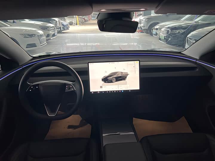 Tesla Model 3 2023 2023款 后轮驱动版