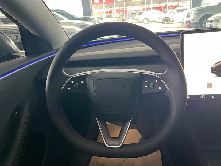 Tesla Model 3 2023 2023款 后轮驱动版