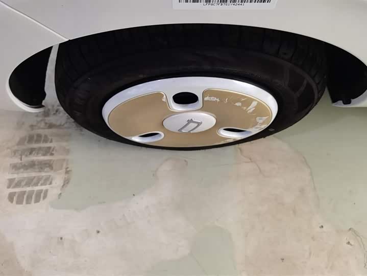 Bestune Pony 2025 2025款 222km 玲珑马