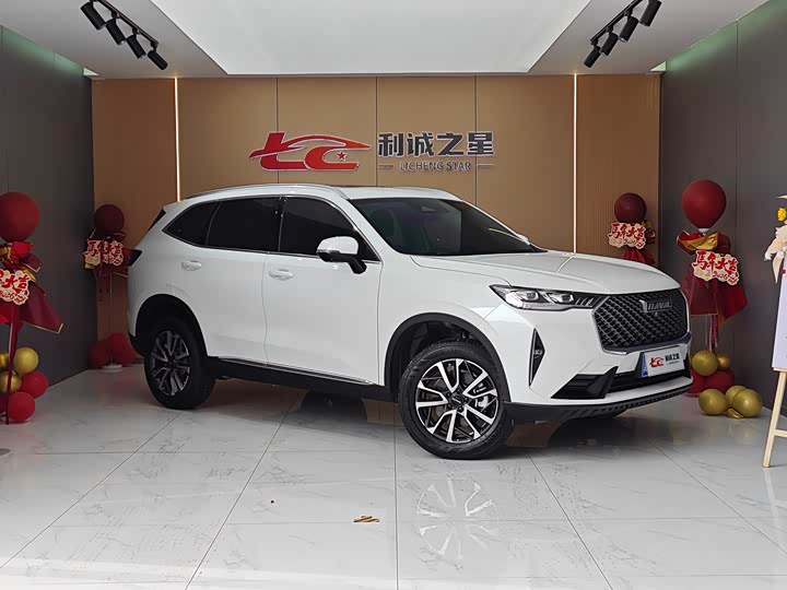 Haval H6 2024 2024款 1.5T 两驱经典版