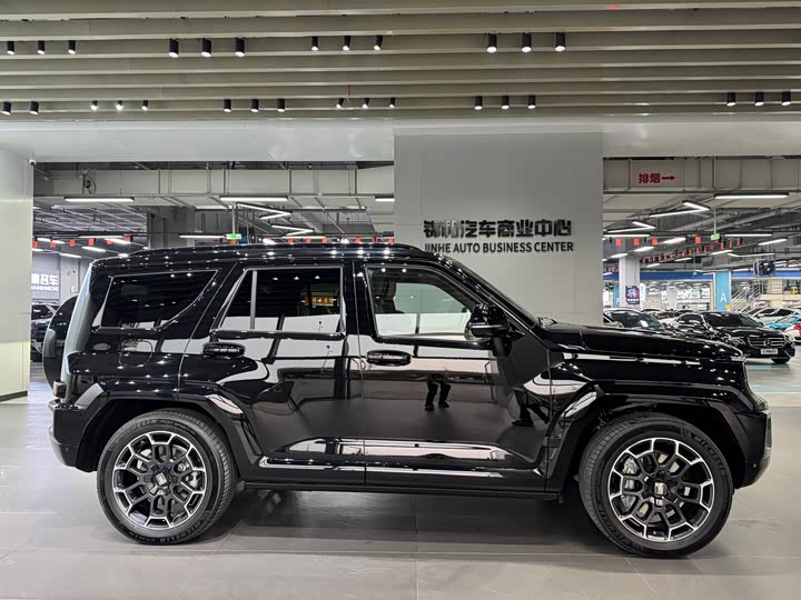 Tank 700 Hybrid 2024 2024款 Hi4-T 极境版