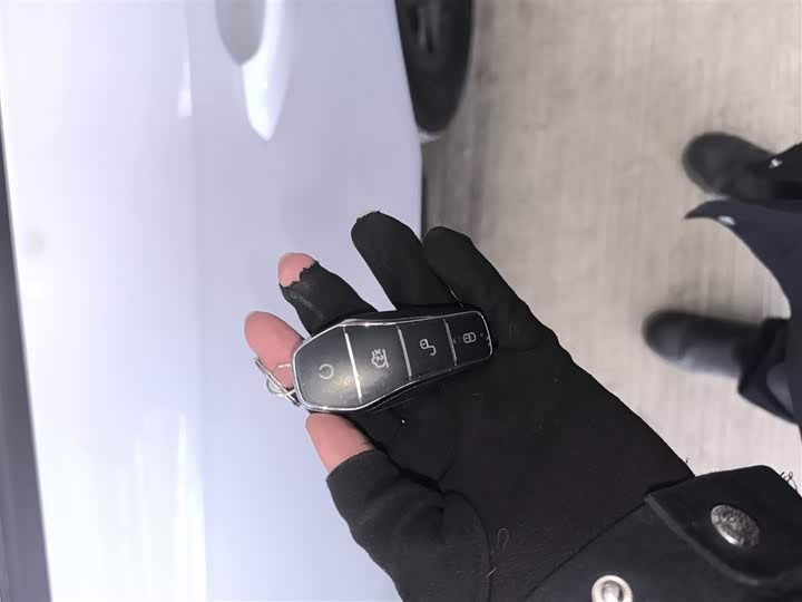 BYD Qin Plus 2025 2025款 DM-i 智驾版 55KM领先型