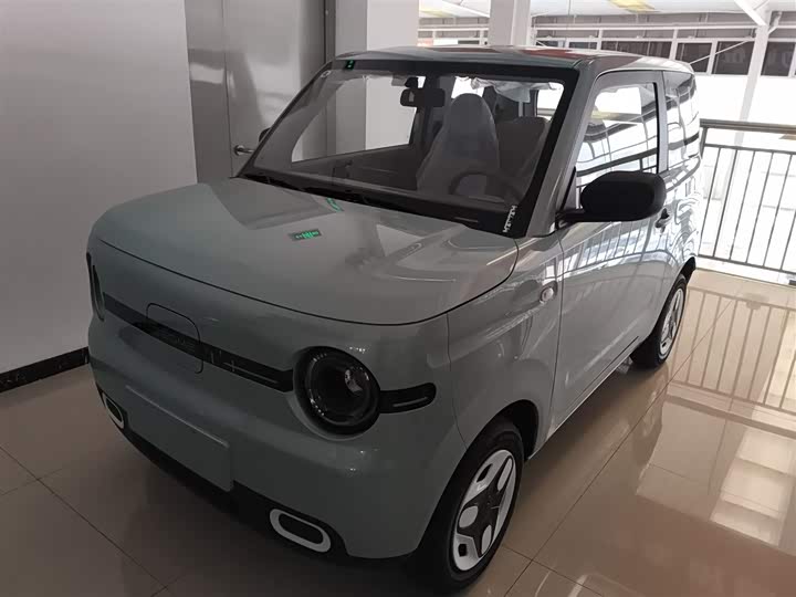 Geely Galaxy Panda Mini 2025 2025款 熊猫mini 210km 元气熊