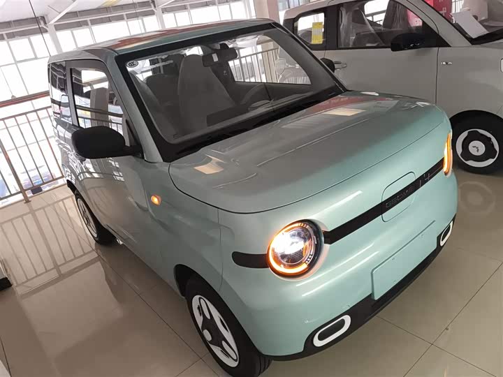 Geely Galaxy Panda Mini 2025 2025款 熊猫mini 210km 元气熊