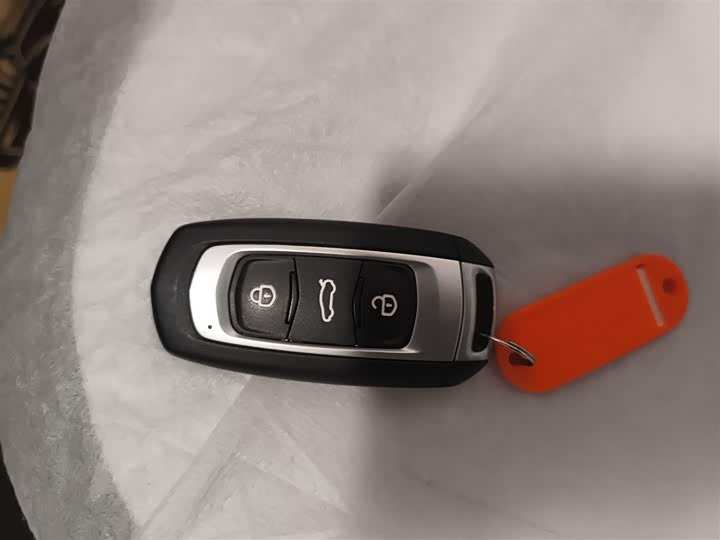 Geely Galaxy Panda Mini 2025 2025款 熊猫mini 210km 元气熊