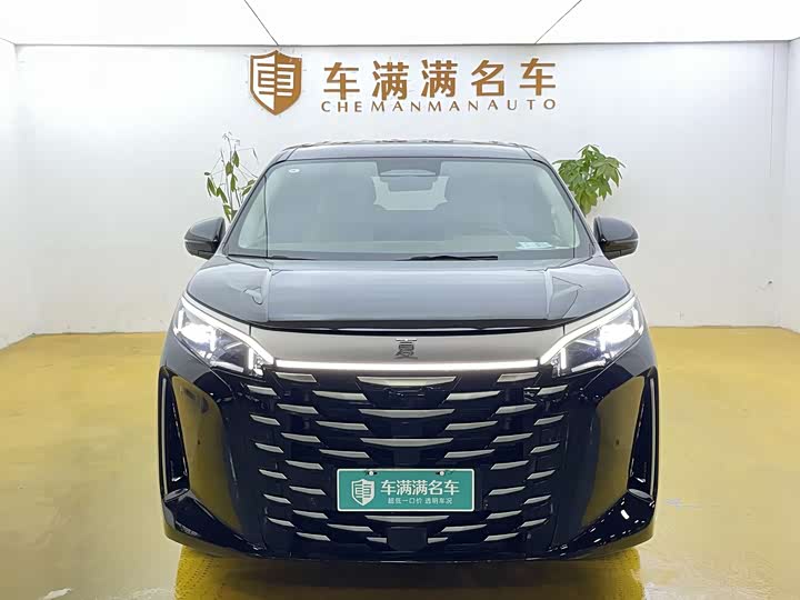 BYD Xia 2025 2025款 DM-i 1.5T 180km 卓越型