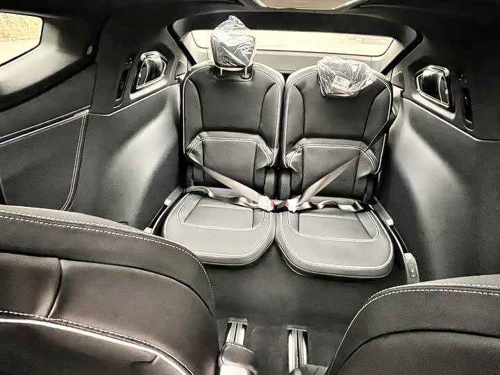 HiPhi X 2022 2022款 创远版6座 长续航版