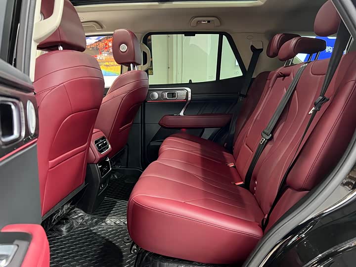 Tank 400 Hybrid 2024 2024款 Hi4-T 越野版