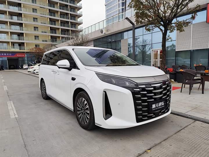 BYD Xia 2025 2025款 DM-i 1.5T 180km 卓越型