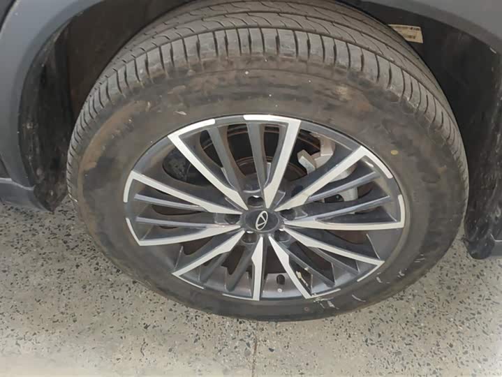 Chery Tiggo 8 Pro 2024 2024款 冠军版 290T 两驱闪耀版 5座