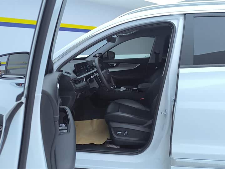 Chery Tiggo 8 Plus 2022 2022款 290TGDI DCT豪情版