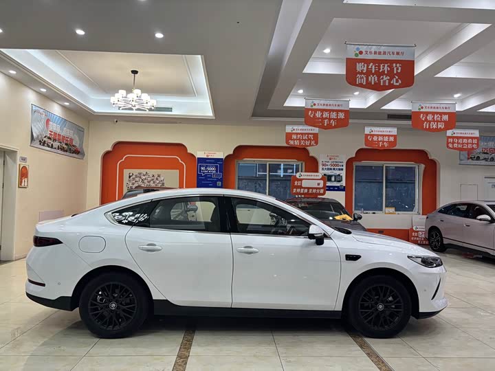 BYD Qin Plus 2025 2025款 EV 智驾版 510KM领先型