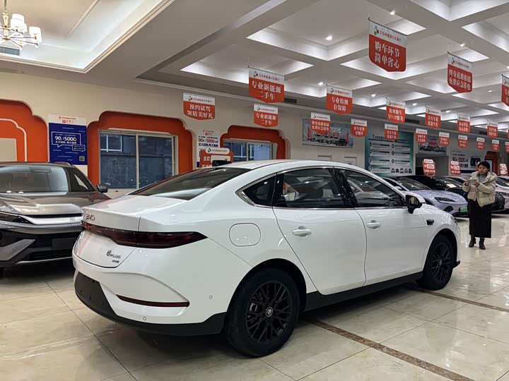 BYD Qin Plus 2025 2025款 EV 智驾版 510KM领先型