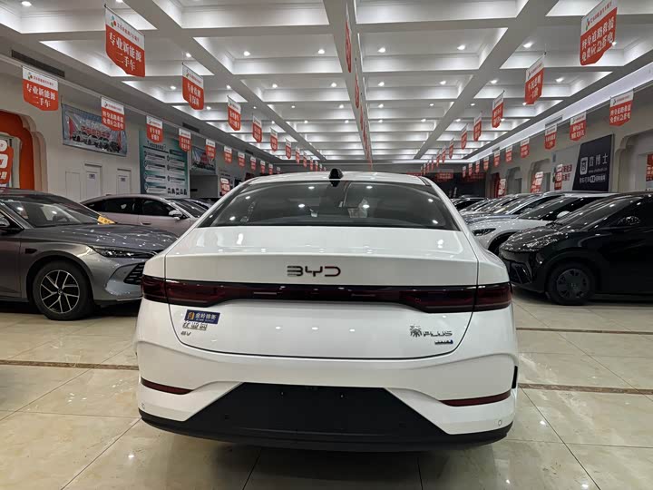 BYD Qin Plus 2025 2025款 EV 智驾版 510KM领先型
