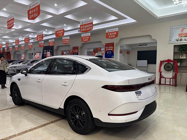BYD Qin Plus 2025 2025款 EV 智驾版 510KM领先型
