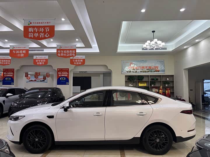 BYD Qin Plus 2025 2025款 EV 智驾版 510KM领先型