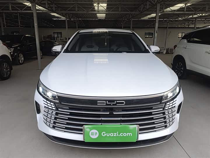 BYD Destroyer 05 2024 2024款 荣耀版 DM-i 55KM 豪华型