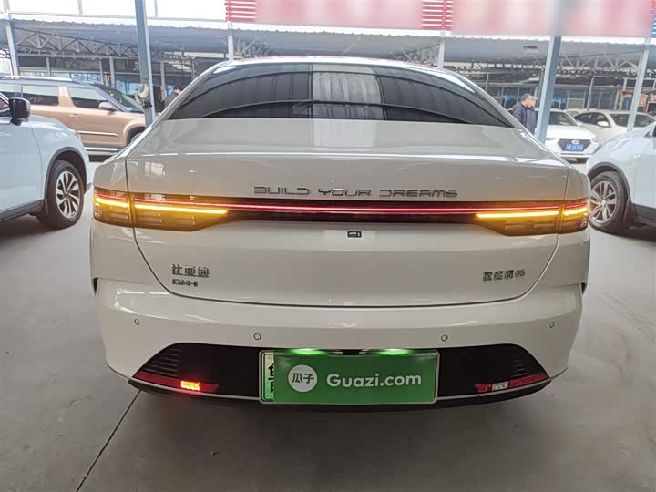 BYD Destroyer 05 2024 2024款 荣耀版 DM-i 55KM 豪华型