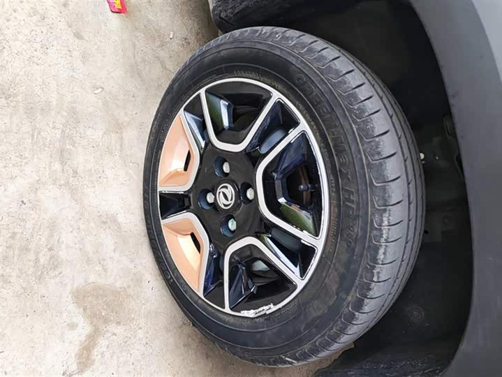 Dongfeng Nammi Nano EX1 2022 2022款 冠军款 轻风版 201KM 标准型