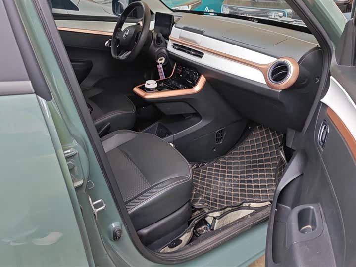 Dongfeng Nammi Nano EX1 2022 2022款 冠军款 轻风版 201KM 标准型