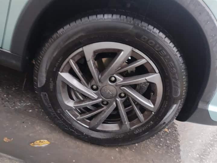 Hozon V 2022 2022款 潮 300 Lite 三元锂