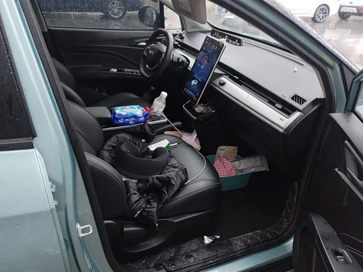 Hozon V 2022 2022款 潮 300 Lite 三元锂