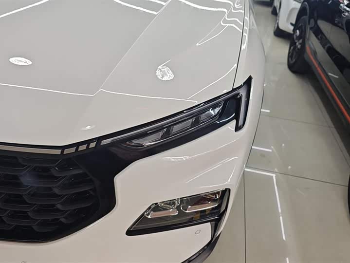 Ford Equator Sport 2023 2023款 极境 EcoBoost 170 光影