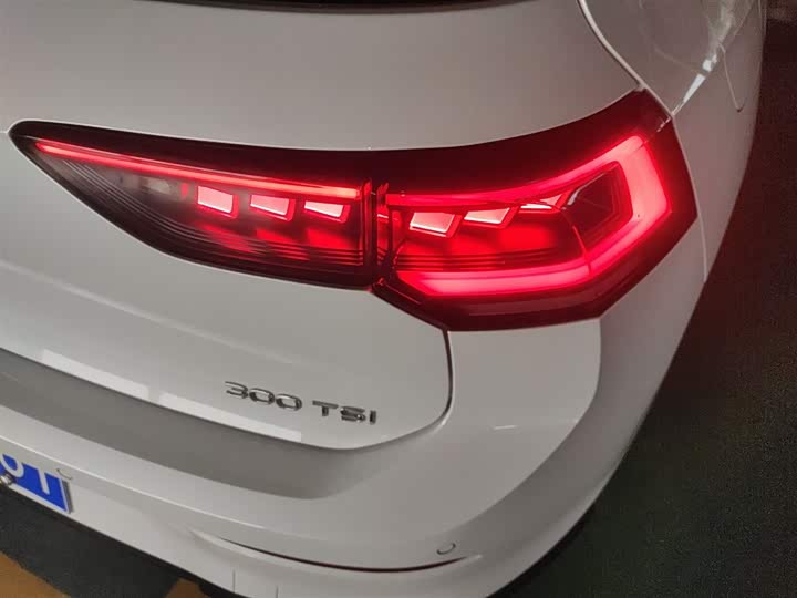 Volkswagen Golf 2025 2025款 300TSI R-Line