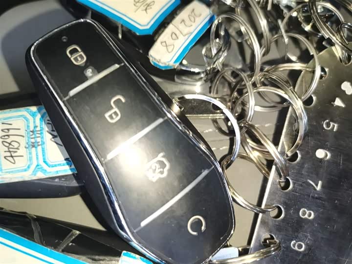 BYD Sea Lion 05 DM-i Hybrid 2025 2025款 DM-i 智驾版 115KM旗舰型