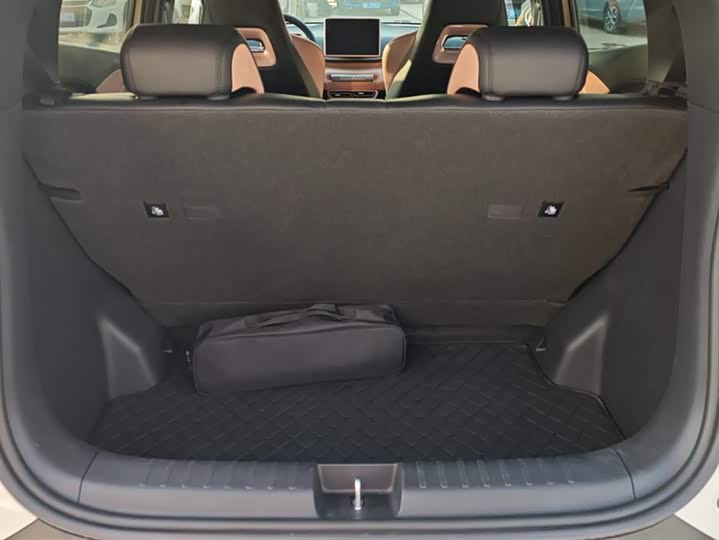 BYD Seagull 2025 2025款 305km 自由版