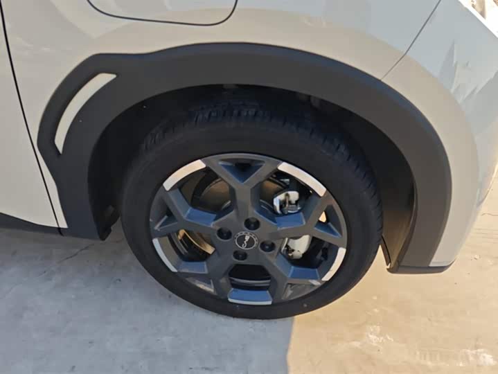 BYD Seagull 2025 2025款 305km 自由版