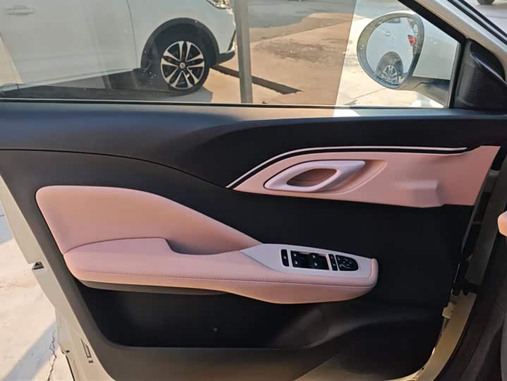 BYD Seagull 2025 2025款 305km 自由版