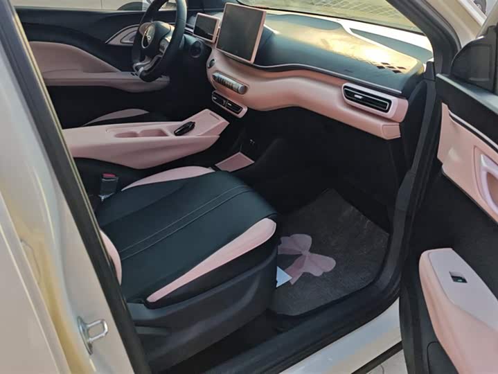 BYD Seagull 2025 2025款 305km 自由版