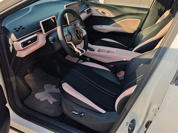 BYD Seagull 2025 2025款 305km 自由版