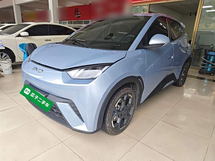 BYD Seagull 2025 2025款 305km 活力版