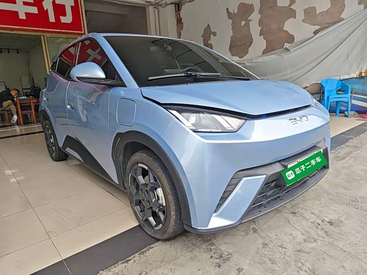 BYD Seagull 2025 2025款 305km 活力版