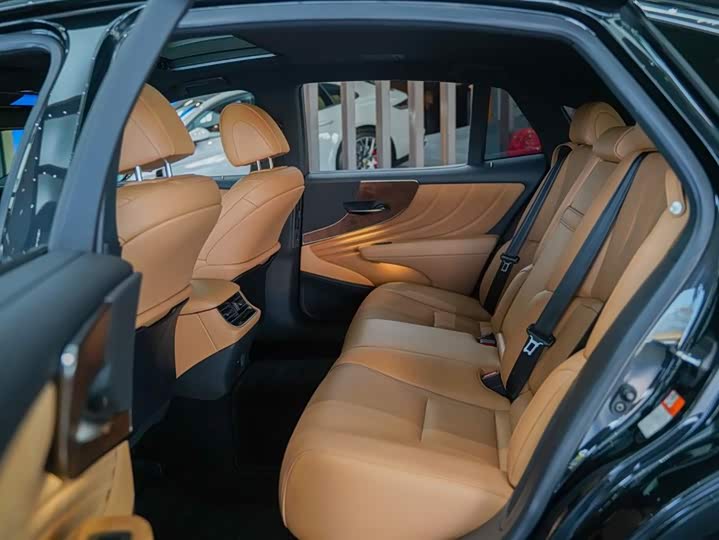 Lexus LS 2021 2021款 500h 卓越版