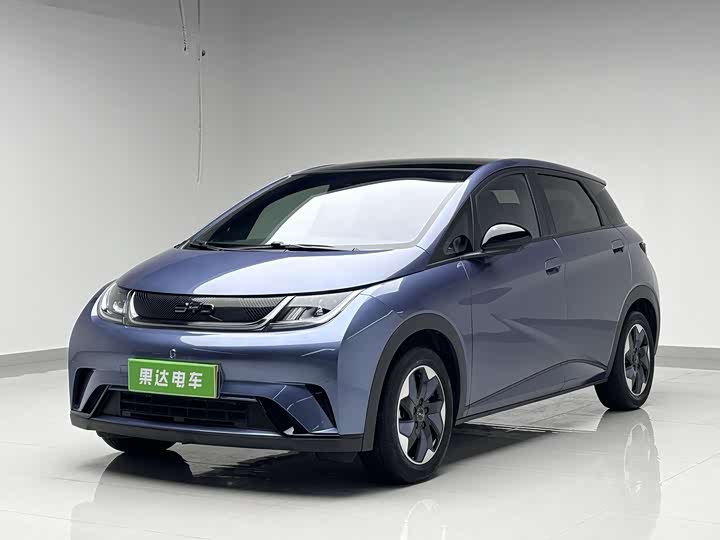2025 BYD Dolphin