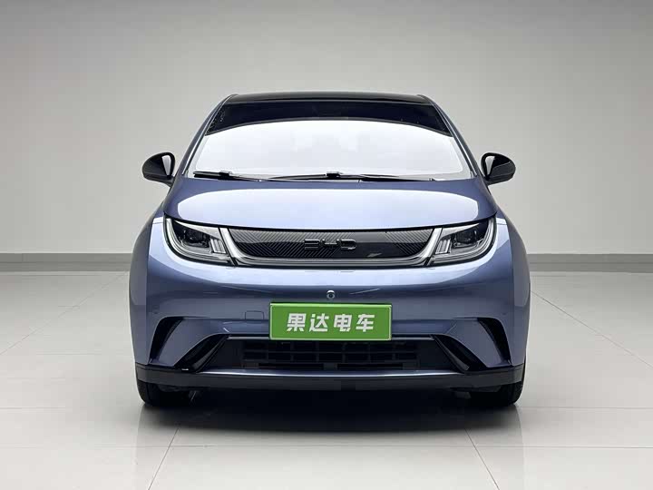2025 BYD Dolphin