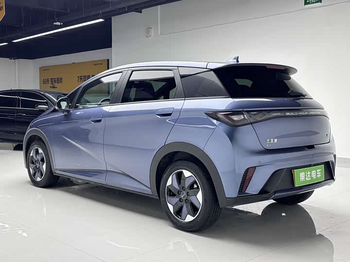 2025 BYD Dolphin