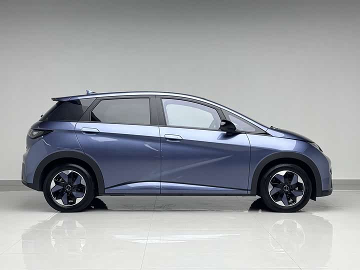 2025 BYD Dolphin